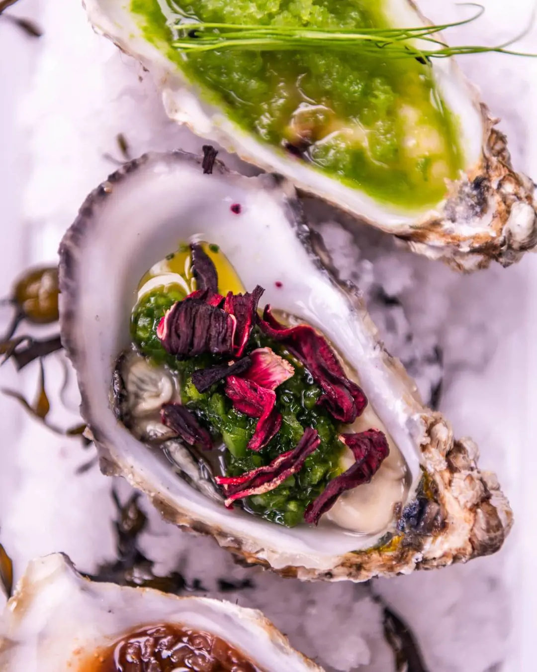 freshest Maldon Rock Oysters