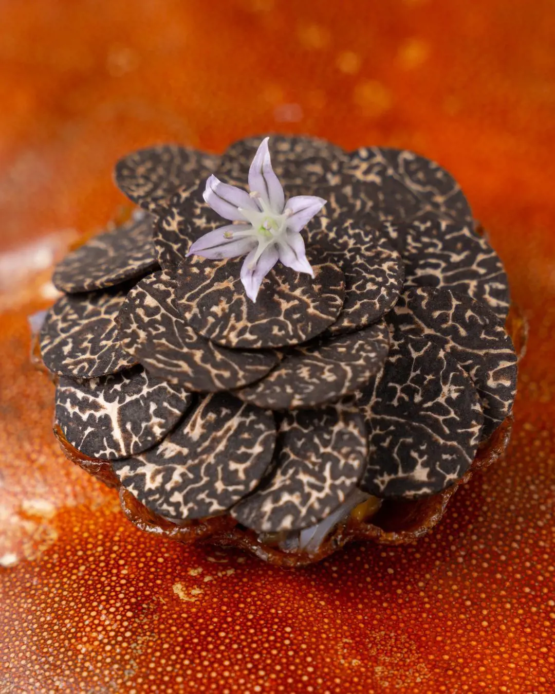 Cornish crab and truffle tart