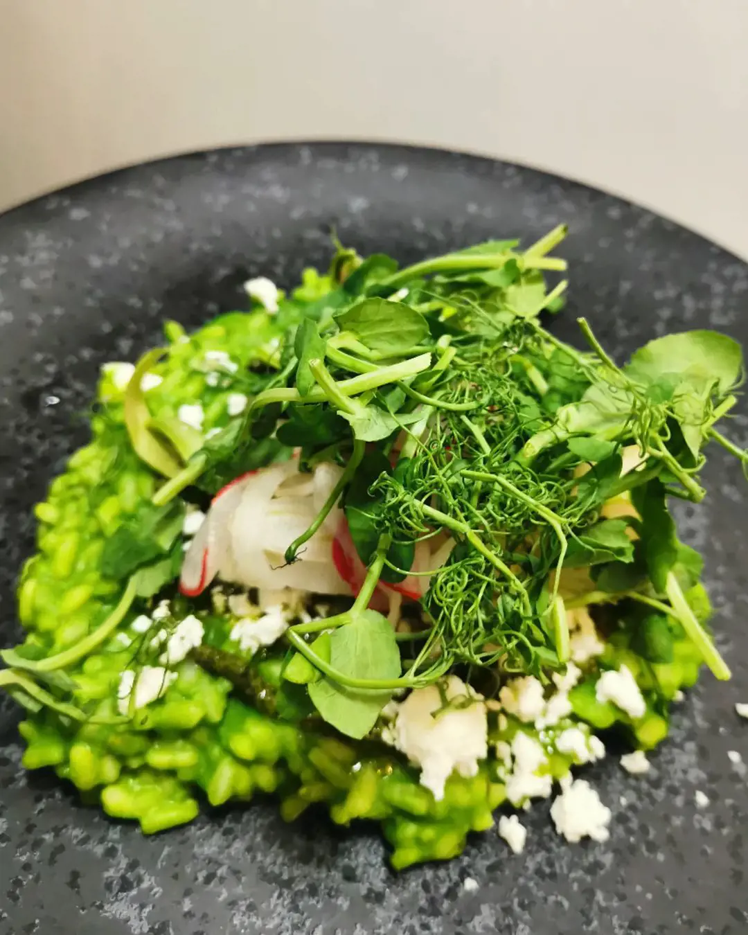garden risotto with Norfolk asparagus & broad beans