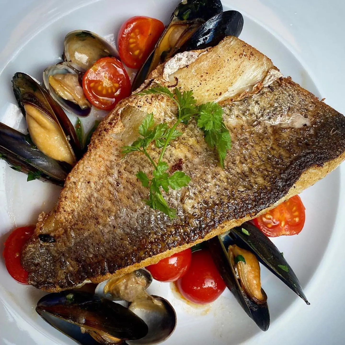 Pan-fried sea bass served with spinach and sautéed cherry tomatoes mussels & clams
