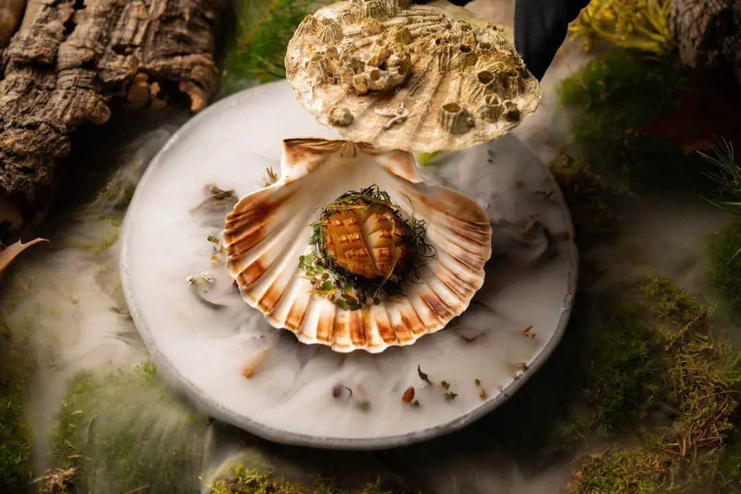 Hand-dived scallop