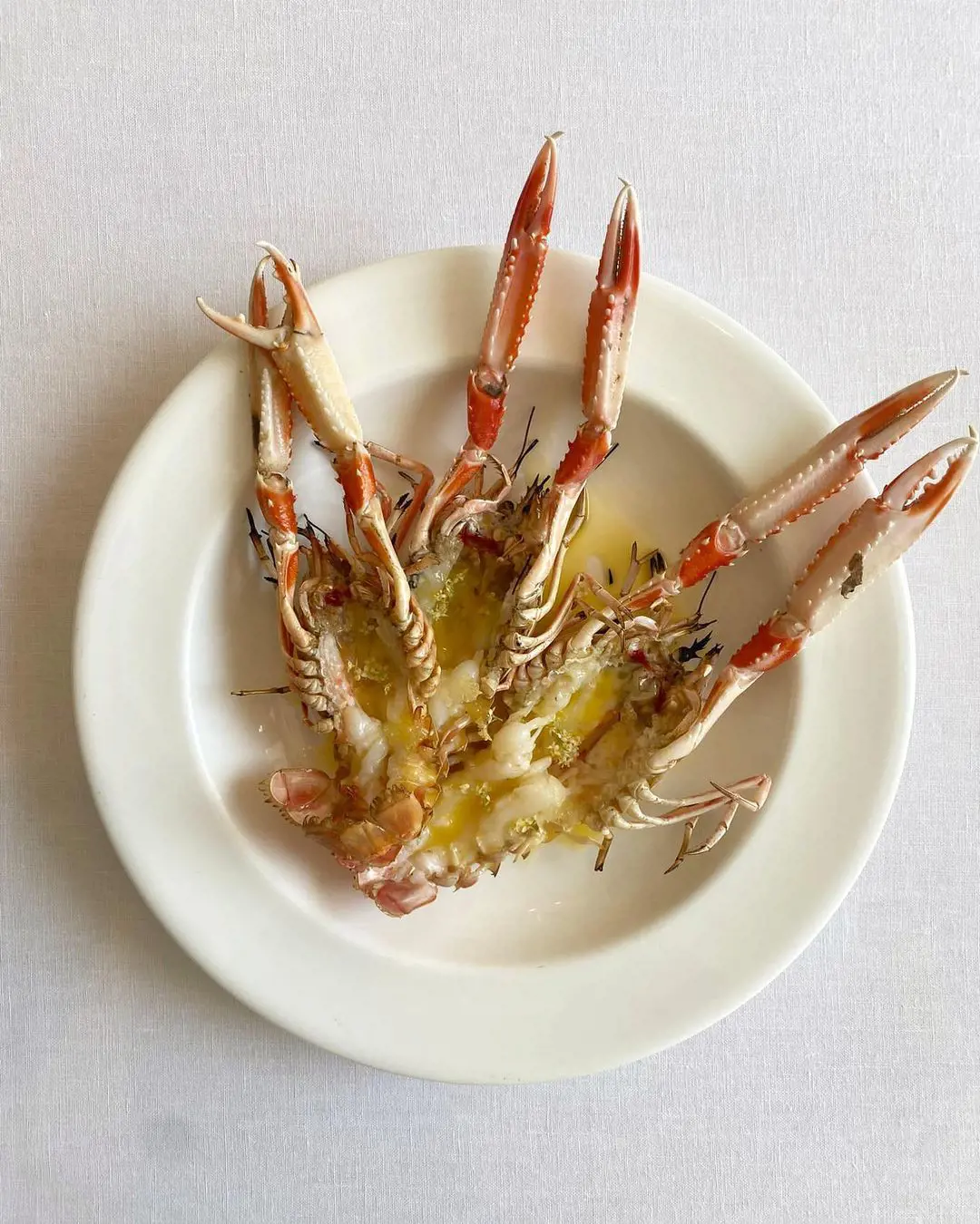 Grilled langoustines with elderflower butter and finger lime