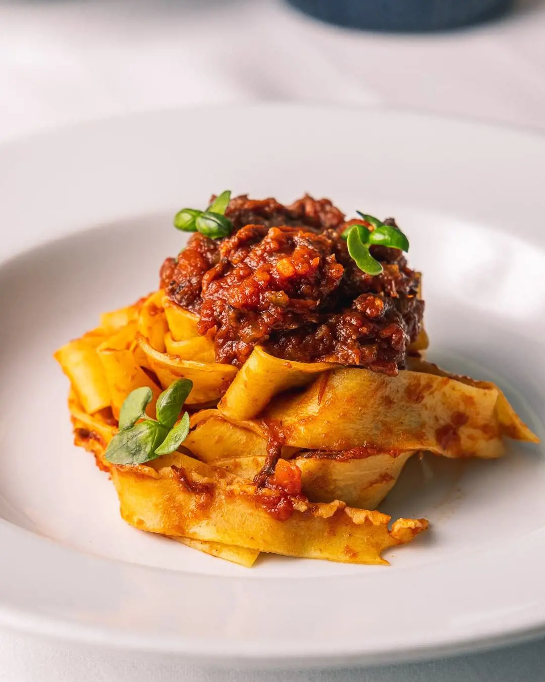 home-made pappardelle with cheek ragù